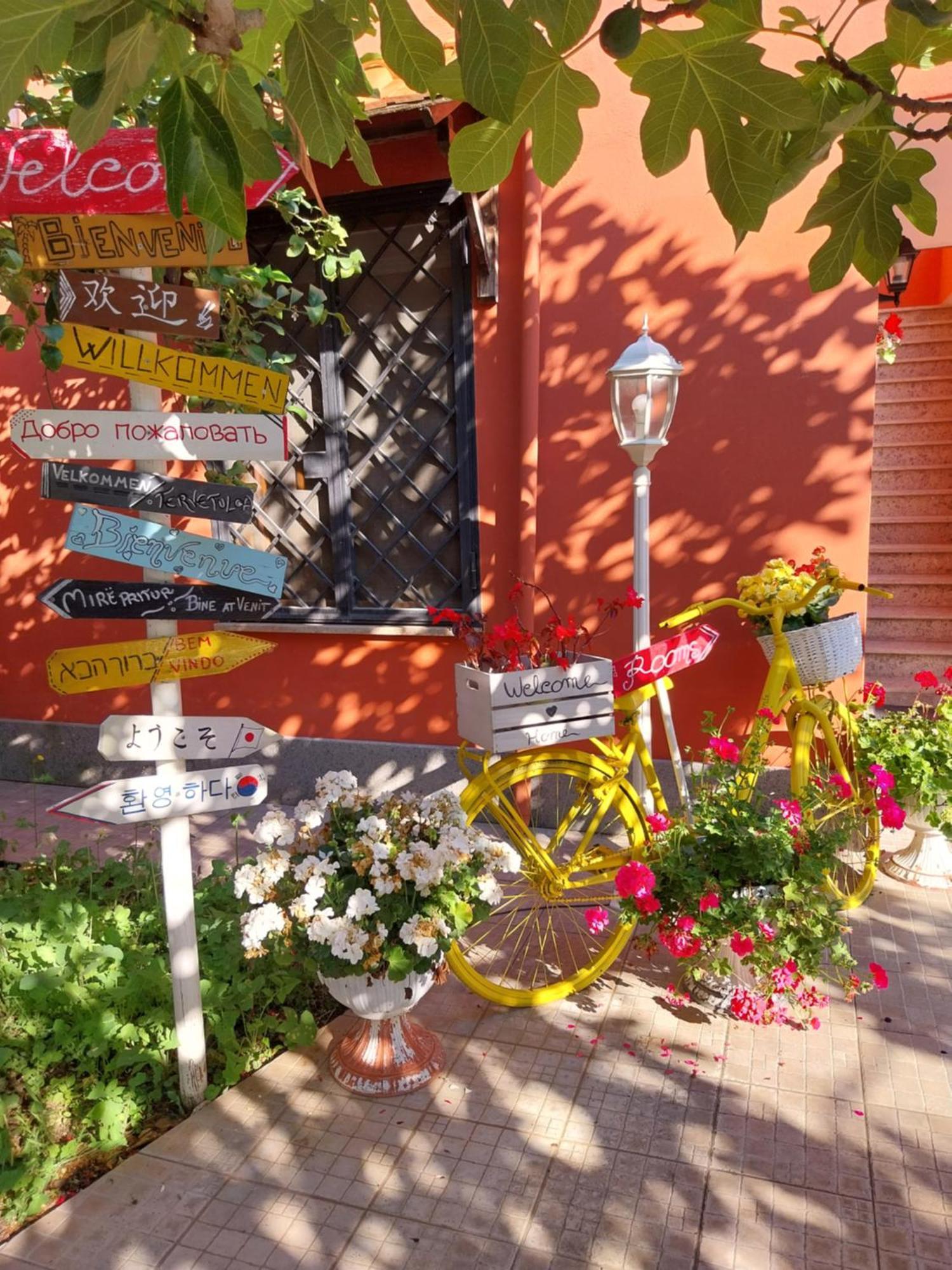 Il Viandante Bed & Breakfast *