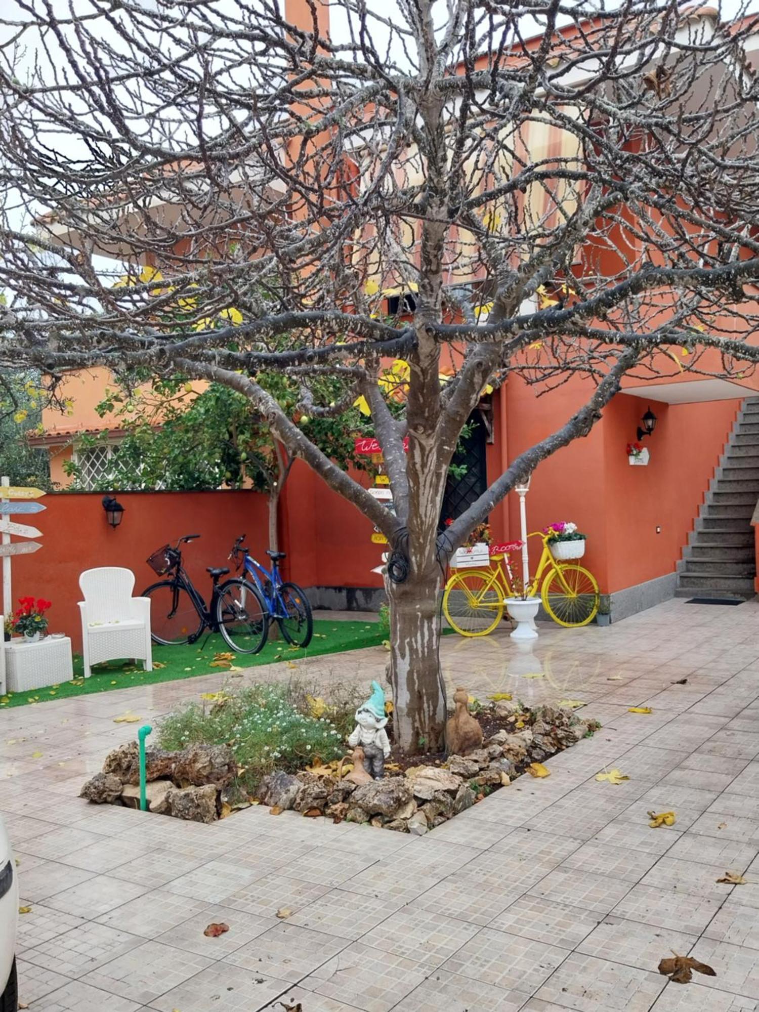 Bed & Breakfast Il Viandante *